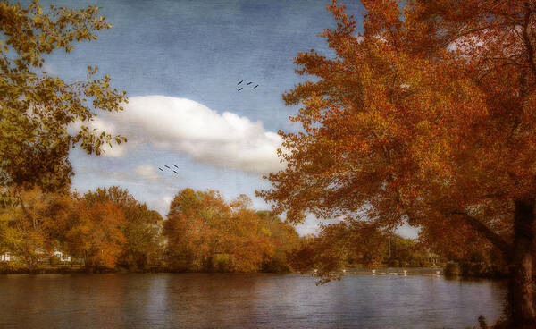 Autumn Art Print featuring the photograph Softly Autumn by Cathy Kovarik