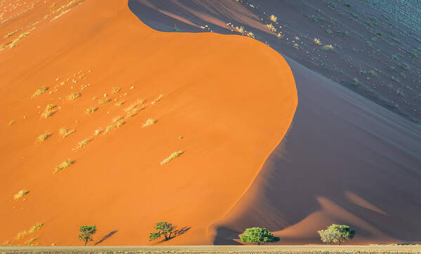 Sossusvlei Art Print featuring the photograph Sossusvlei Dawn - Namibia Sand Dune Photograph by Duane Miller