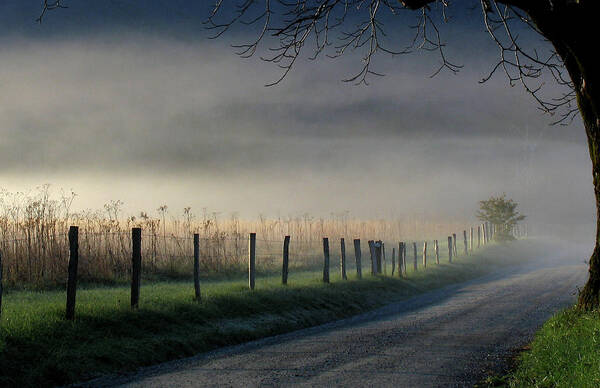 Fence Art Print featuring the photograph Sparks Lane Sunrise by Douglas Stucky