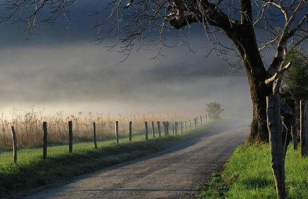 Cades Cove Art Print featuring the photograph Sparks Lane Sunrise III by Douglas Stucky