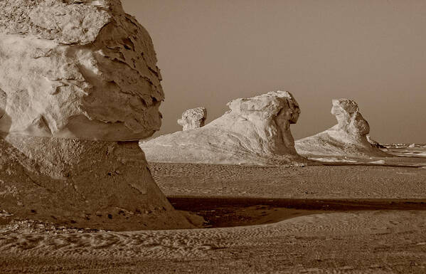 Sphinx Art Print featuring the photograph Sphinx in the Desert by Nigel Fletcher-Jones
