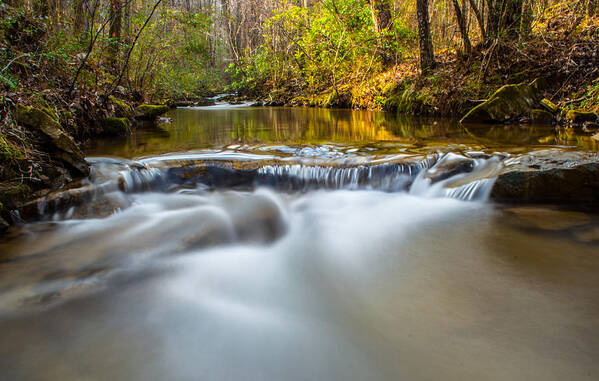Stream Art Print featuring the photograph Spring Stream by Parker Cunningham