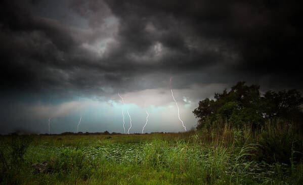 Everglades Art Print featuring the photograph Storms in the Everglades by Mark Andrew Thomas