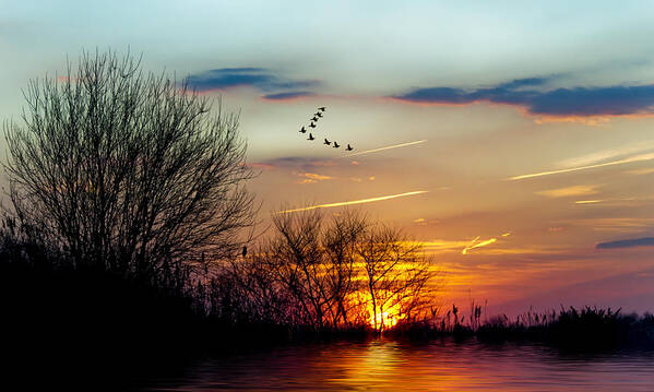 Sunset Art Print featuring the photograph Sundown and Birds by Cathy Kovarik