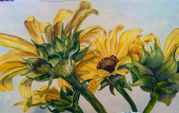  Art Print featuring the painting Sunflower 2 by Diane Ziemski