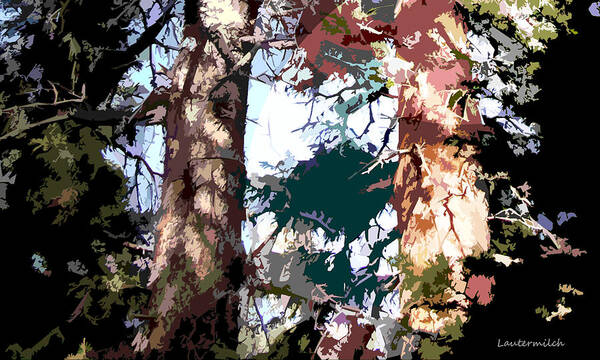 Pine Trees Art Print featuring the photograph Sunlight on Pine Trees by John Lautermilch