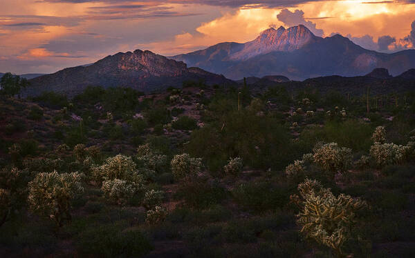  Arizona Sunset Art Print featuring the photograph Sunset lit Cactus over Four Peaks by Dave Dilli