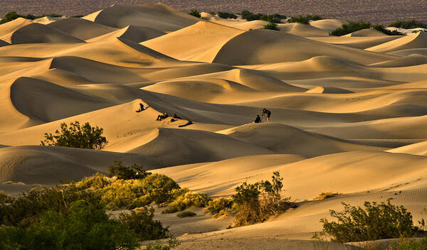 Dunes Art Print featuring the photograph Sunset Over Mesquite Flat Dunes by Gigi Ebert