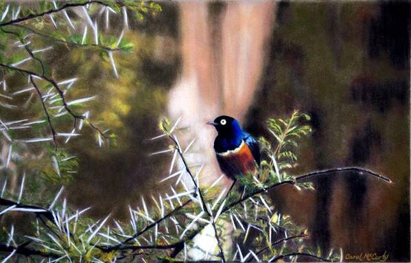 Family Room Art Print featuring the painting Superb Starling by Carol McCarty