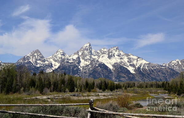 Mountains Art Print featuring the photograph Teton Majesty by Dorrene BrownButterfield