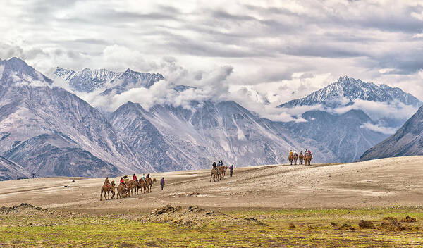 Working Animal Art Print featuring the photograph The Land Of High Passes by Sapna Reddy Photography