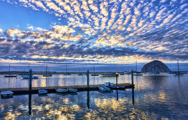 Morro Bay Art Print featuring the photograph Tidelands Park Reflections by Beth Sargent