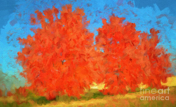 Illinois Art Print featuring the photograph Tree - Autumn Wonder - Luther Fine Art by Luther Fine Art