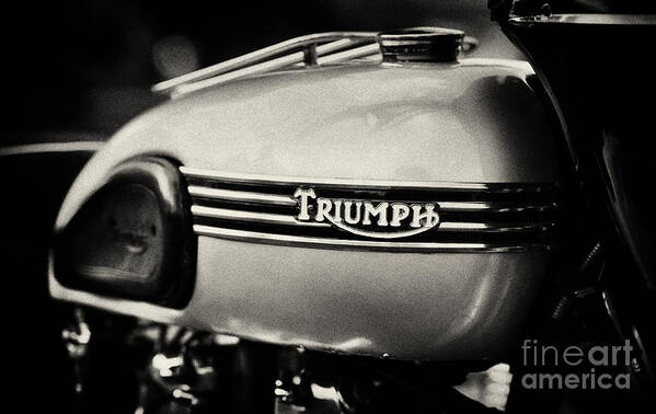 Triumph Tiger T110 Art Print featuring the photograph Triumph Tiger T110 Tank by Tim Gainey