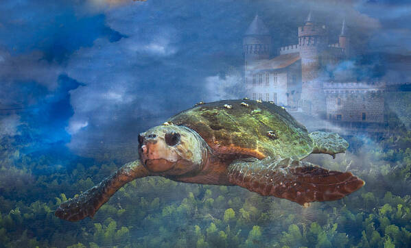 Clouds Art Print featuring the photograph Turtle in Atlantis by Sandra Edwards