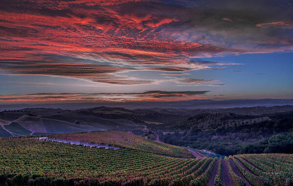 Paso Robles Art Print featuring the photograph Waiting for the Sun in Adelaida by Tim Bryan