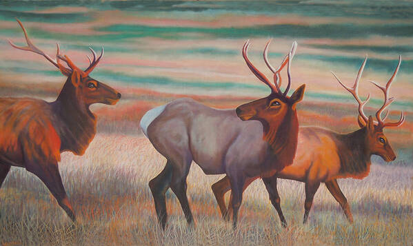 Wapiti. Elk Art Print featuring the painting Wapiti in Sunset Glow by Anastasia Savage Ealy