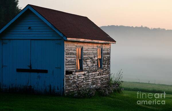 Paul Noble Photos Art Print featuring the photograph Weathered Wood by Paul Noble