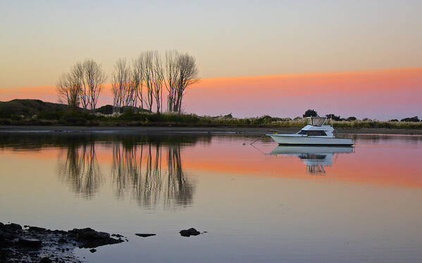 Sunset Art Print featuring the photograph Whakatane at Sunset by Venetia Featherstone-Witty