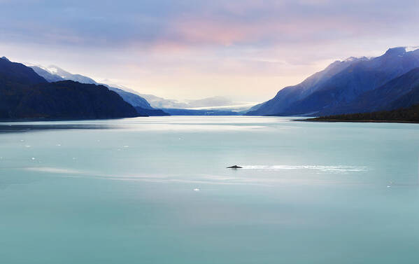Alaska Art Print featuring the photograph Whale Songs - Sojourn by John Poon