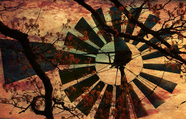 Windmill Art Print featuring the photograph Windmill Through The Oak by Deena Stoddard