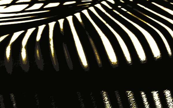 Abstract Art Print featuring the photograph Zebra Palm by Edward Shmunes