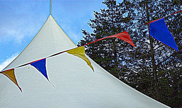 Tent Art Print featuring the photograph Primary Points by Bruce Carpenter