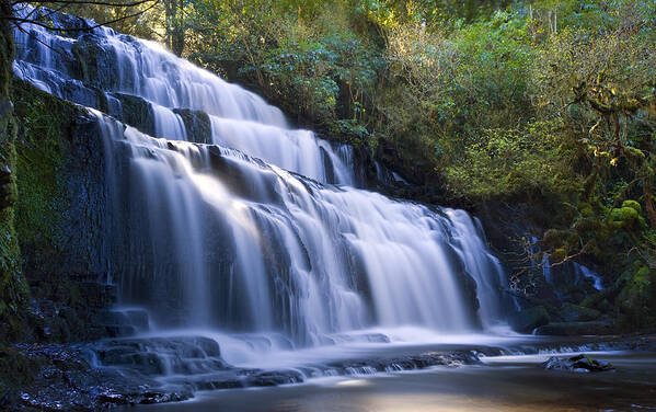 Waterfall Art Print featuring the photograph Waterfall #1 by Ng Hock How