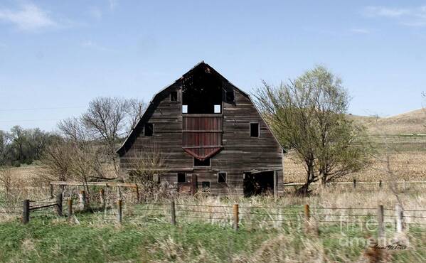 Barns Art Print featuring the photograph Barn by Yumi Johnson