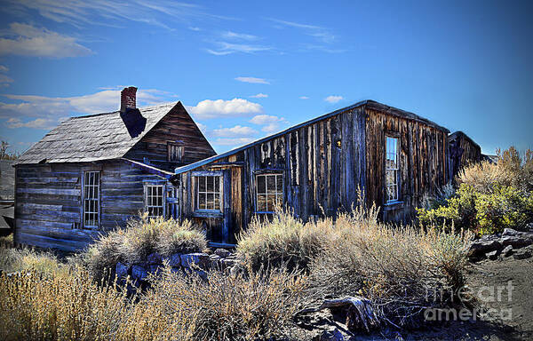 Abandoned Art Print featuring the photograph Ghost Town House by Norma Warden