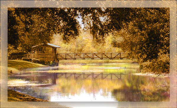 Stream Art Print featuring the photograph Howe's Bayou by Ginny Schmidt