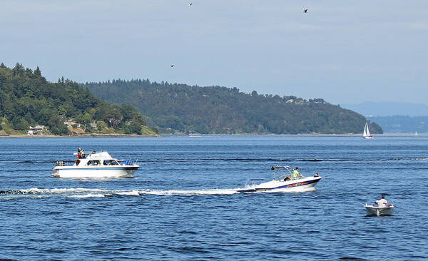 Boats Art Print featuring the photograph Maritime Pleasures by Chris Anderson