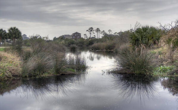 Pensacola Art Print featuring the photograph Moody Marsh by David Troxel