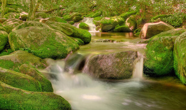 Gatlinburg Art Print featuring the photograph Mossy Beauty by Cindy Haggerty