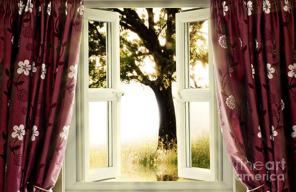 Window Art Print featuring the photograph Open window to tree by Simon Bratt