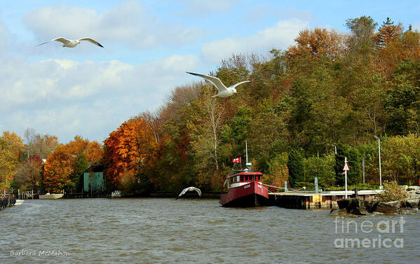 Landscape Art Print featuring the photograph Port Dover Harbour by Barbara McMahon
