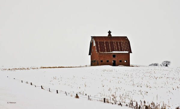 Barns Art Print featuring the photograph Remaining Barn by Ed Peterson