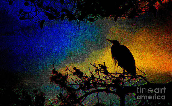 Wildlife Art Print featuring the photograph Richly Colored Night by Ola Allen