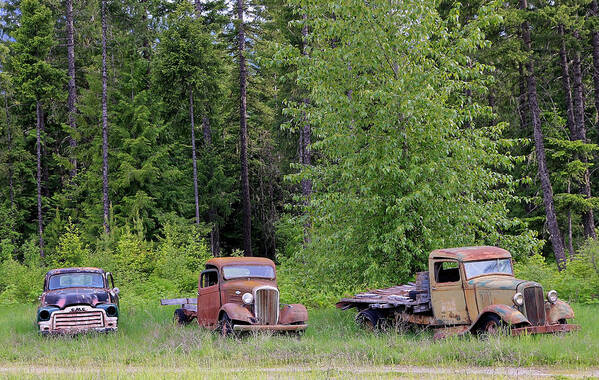 Abandoned Vehicles Art Print featuring the photograph Rustic Truck Lineup by Athena Mckinzie