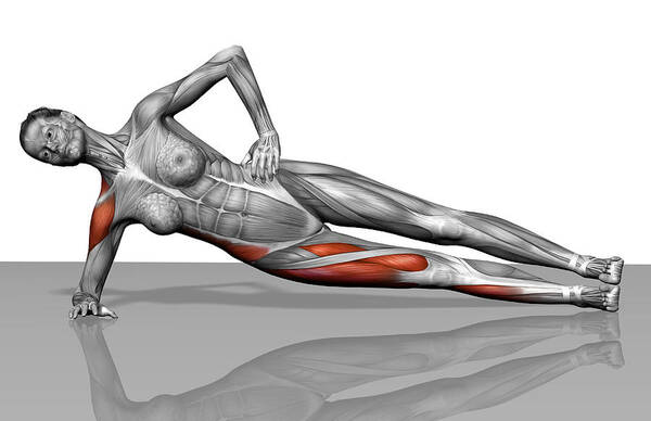Horizontal Art Print featuring the photograph Side Plank Exercise by MedicalRF.com