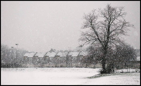 Branches Art Print featuring the photograph Snow Scape London SW by Lenny Carter