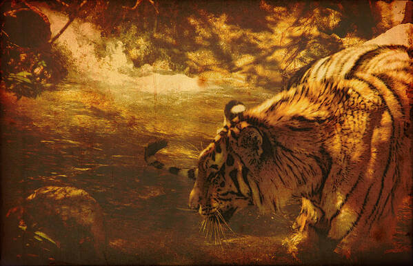 Tiger Art Print featuring the digital art Tiger in the river by James Wood