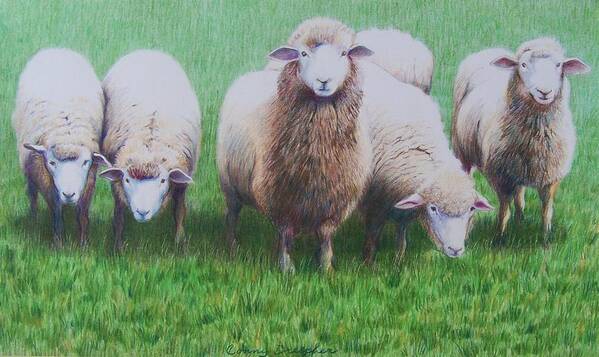 Sheep Art Print featuring the mixed media Friends by Constance Drescher
