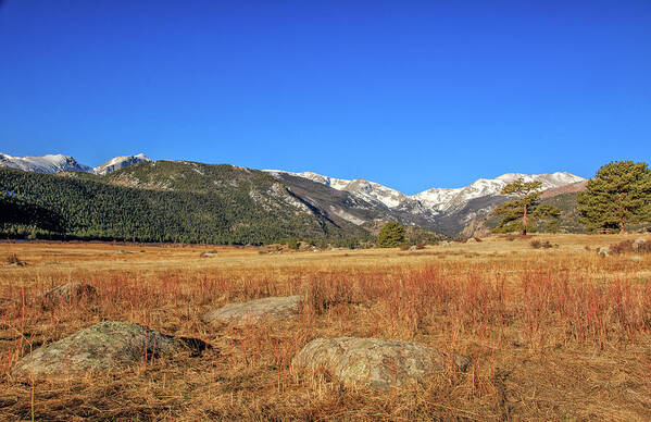  Art Print featuring the photograph Moraine Park in Rocky Mountain National Park #1 by Peter Ciro