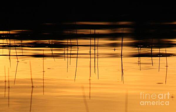 Sunset Art Print featuring the photograph Sunset on the water by Deena Withycombe