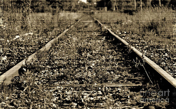 Train Art Print featuring the photograph Tracks to Where #1 by Traci Cottingham
