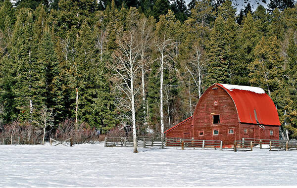 Barn Art Print featuring the photograph Winter Barn #1 by Ronnie And Frances Howard