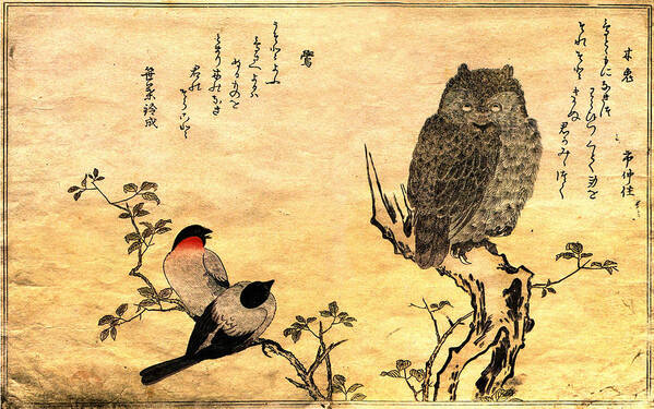 Oriental Art Print featuring the digital art Oriental #10 by Super Lovely