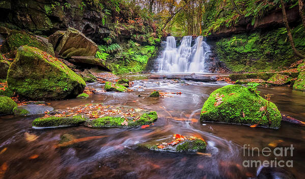 Waterfall Art Print featuring the photograph Goit Stock Waterfall #10 by Mariusz Talarek