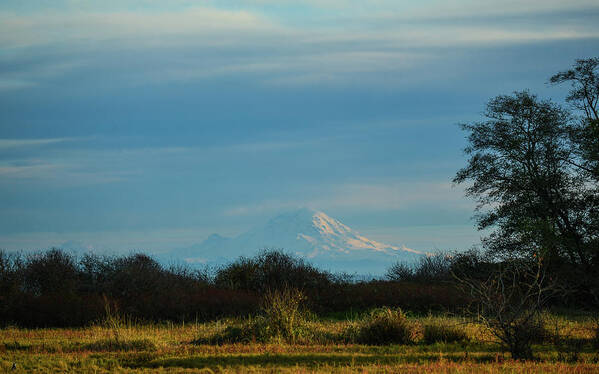 Clouds Art Print featuring the photograph Mount Rainier in the Distance #2 by Ronda Broatch